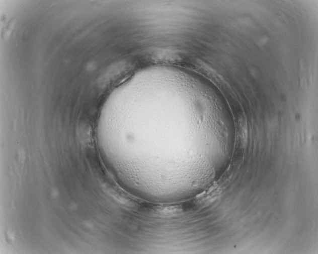 X0000072990619200608111808