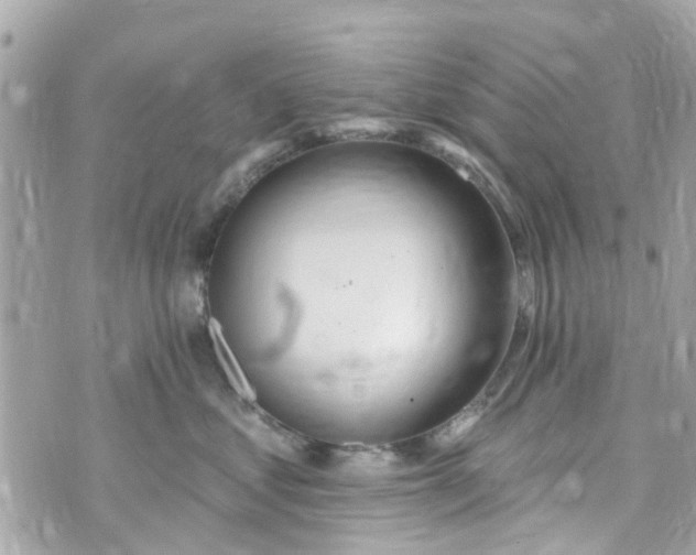 X0000072990621200608111808