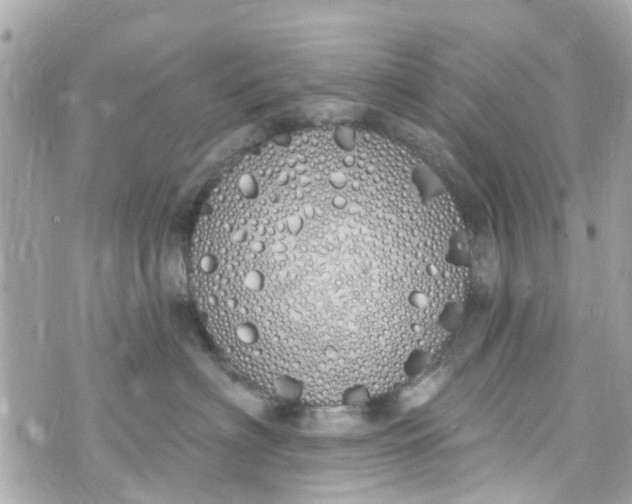 X0000072990622200608111808