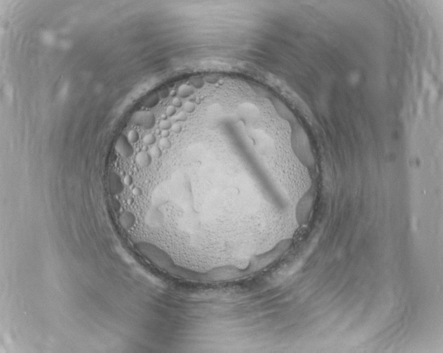 X0000072990625200608111808