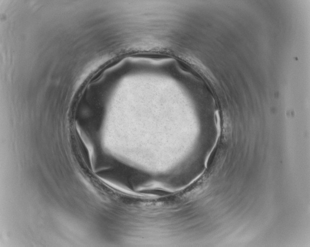 X0000072990626200608111808