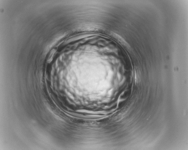 X0000072990627200608111808