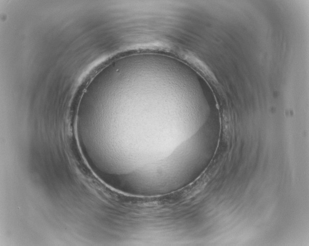 X0000072990628200608111808