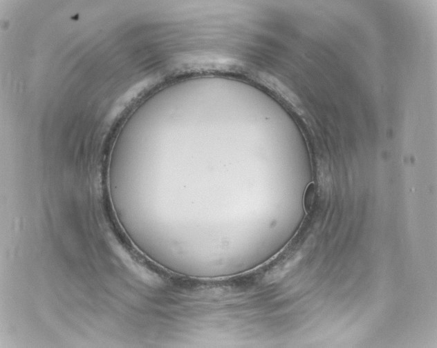 X0000072990629200608111808