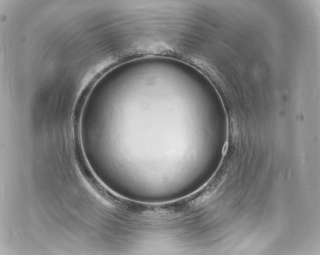 X0000072990630200608111808