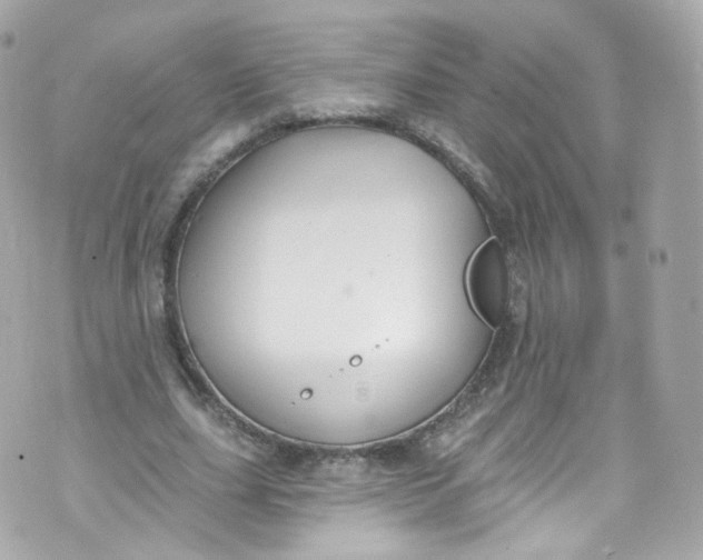 X0000072990631200608111808