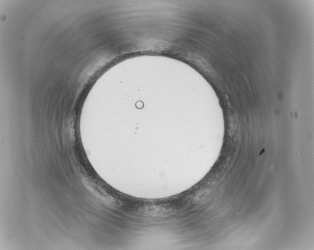 X0000072990632200608111808