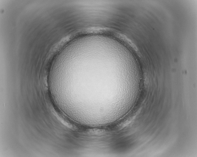 X0000072990633200608111808