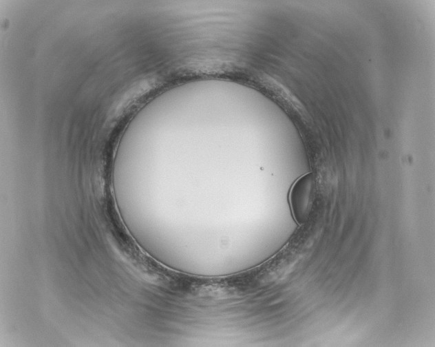 X0000072990635200608111808