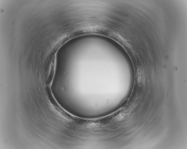 X0000072990637200608111808