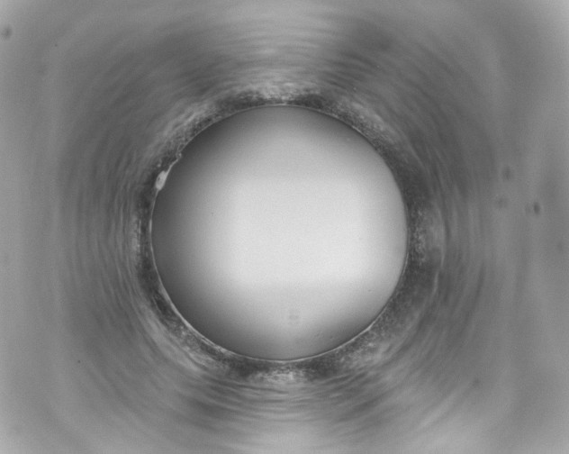 X0000072990639200608111808