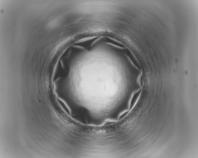 X0000072990640200608111808