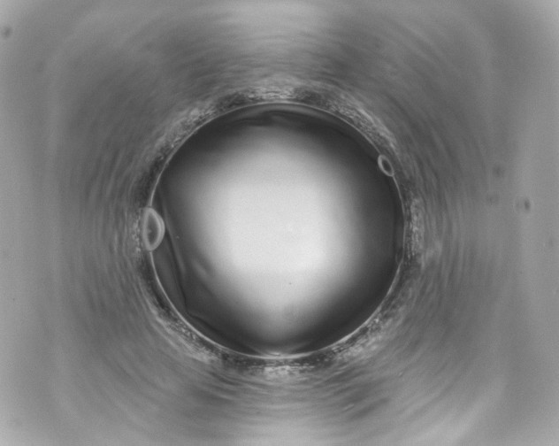 X0000072990641200608111808