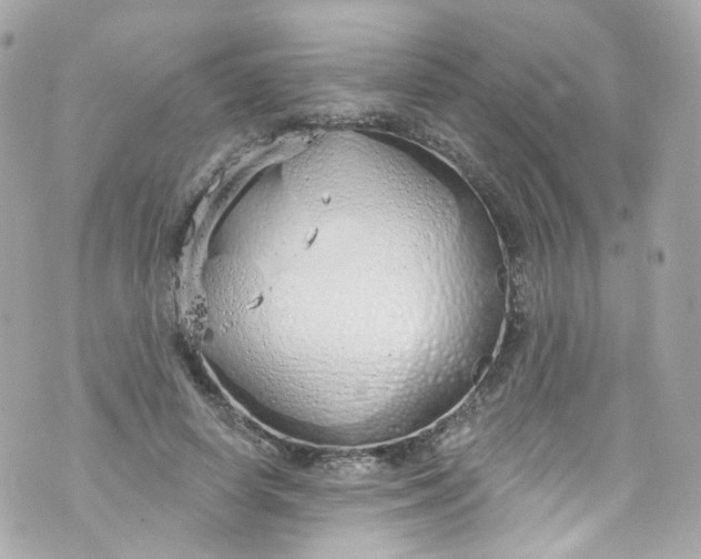 X0000072990642200608111808