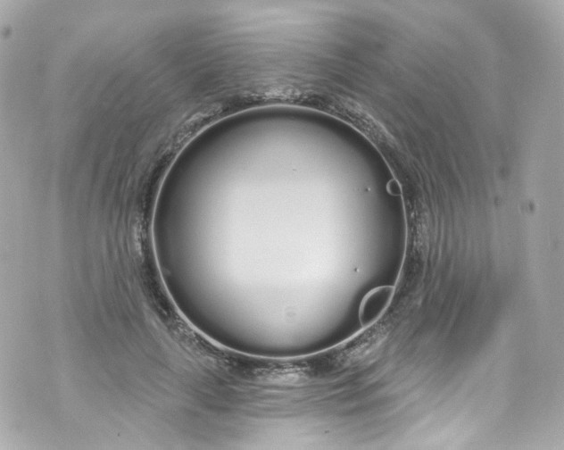 X0000072990643200608111808