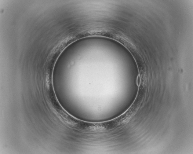 X0000072990644200608111808