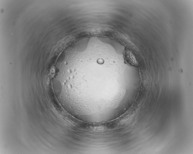 X0000072990645200608111808