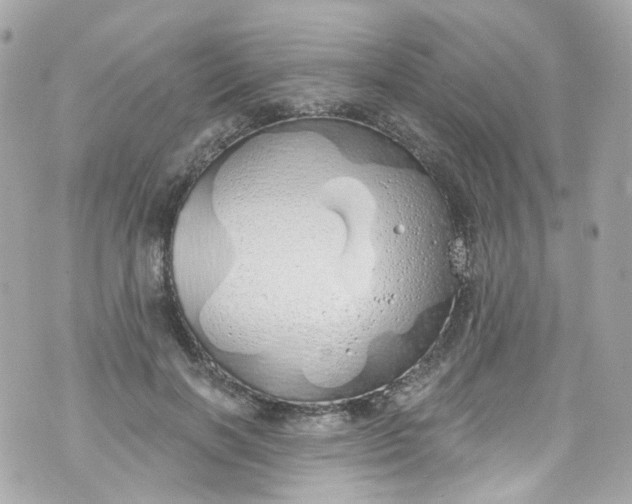 X0000072990646200608111808