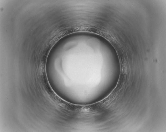 X0000072990647200608111808