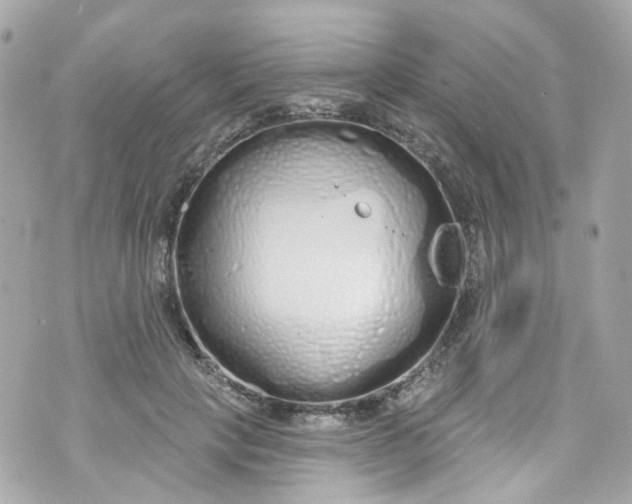 X0000072990649200608111808