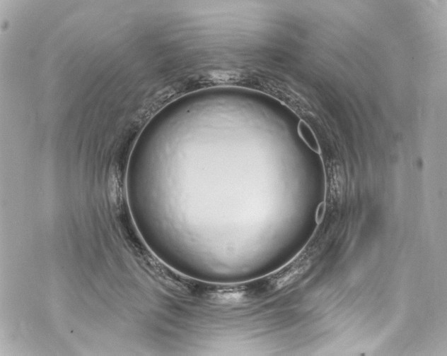 X0000072990651200608111808