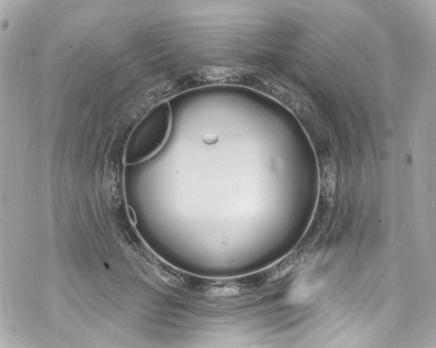 X0000072990653200608111808