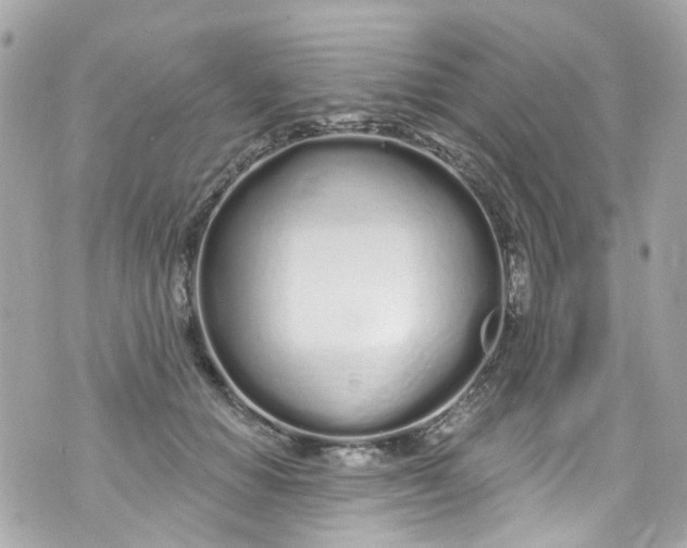 X0000072990654200608111808