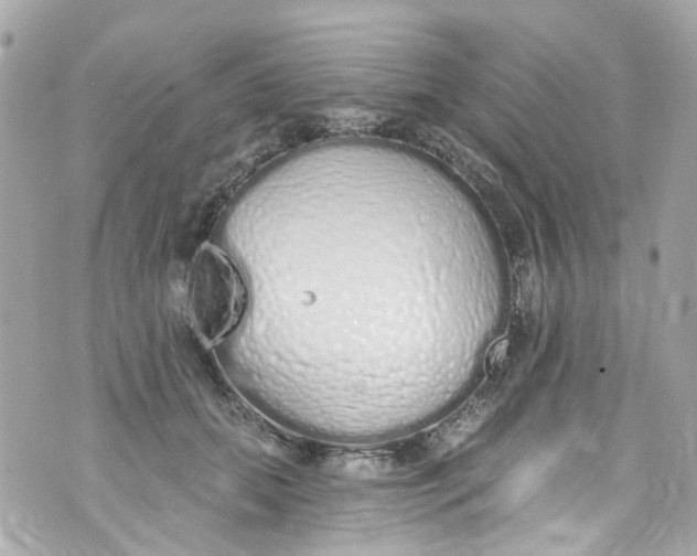 X0000072990655200608111808