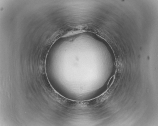 X0000072990656200608111808