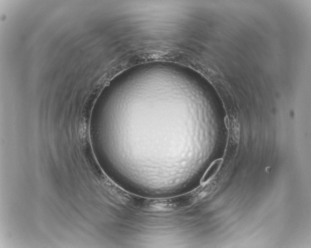 X0000072990657200608111808