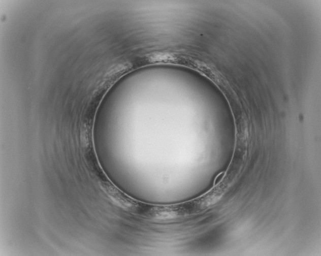 X0000072990658200608111808