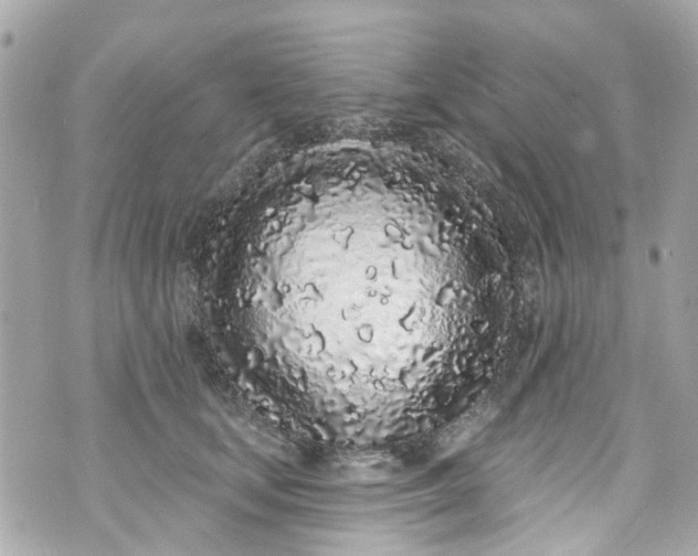 X0000072990659200608111808