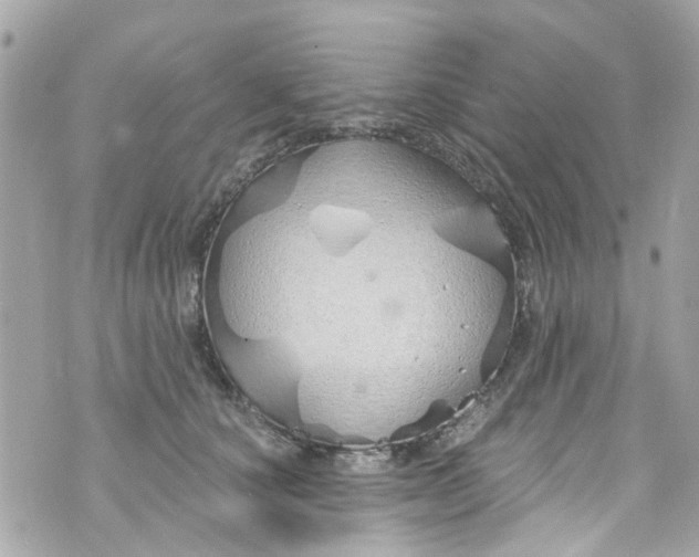 X0000072990660200608111808