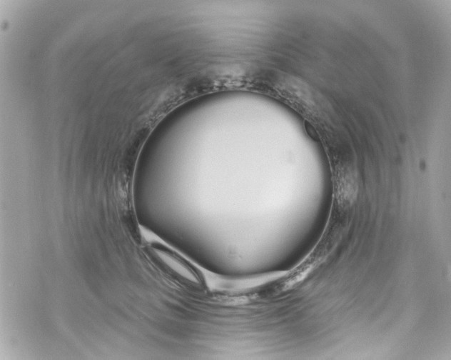 X0000072990661200608111808