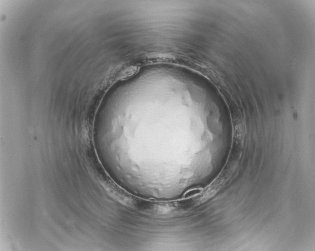 X0000072990662200608111808