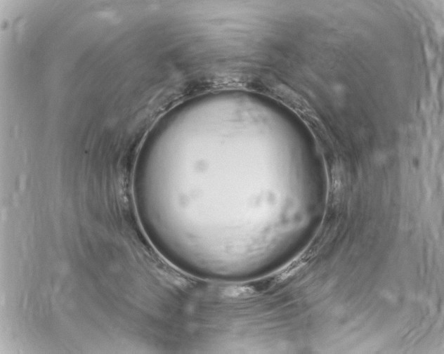 X0000072990663200608111808