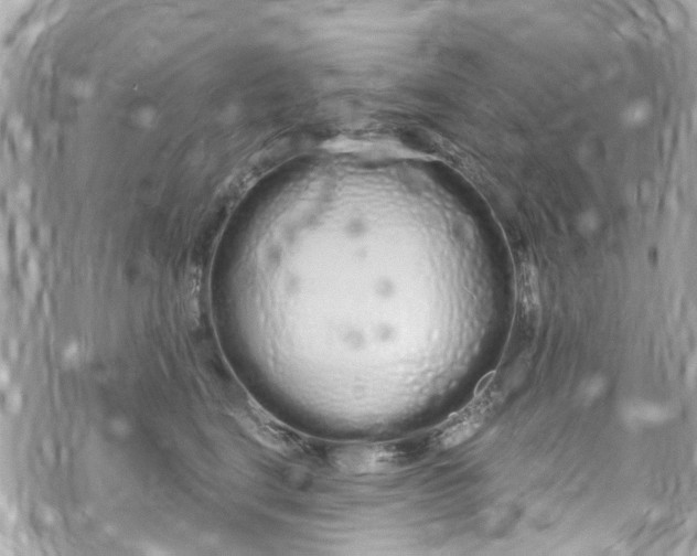 X0000072990664200608111808