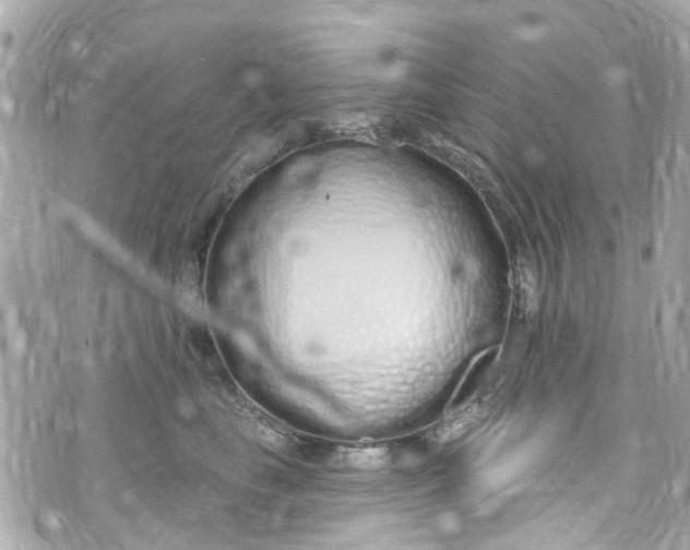 X0000072990665200608111808