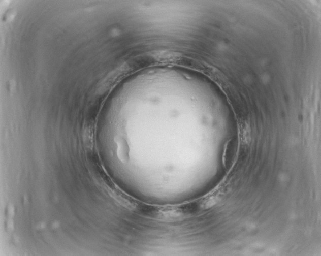 X0000072990666200608111808