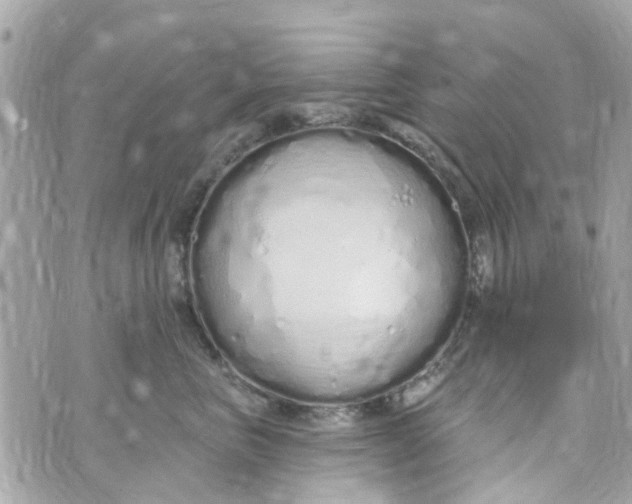 X0000072990667200608111808