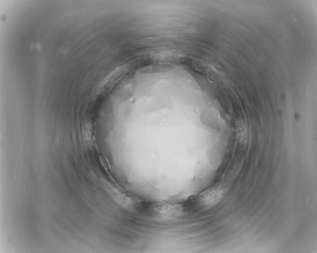 X0000072990670200608111808