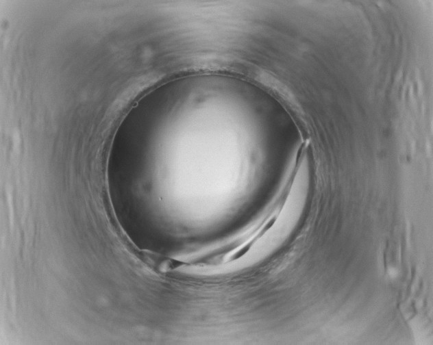 X0000072990673200608111808