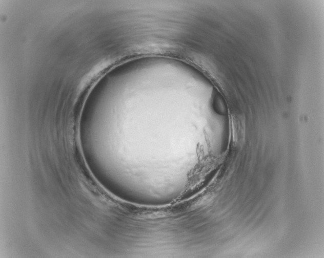 X0000072990675200608111808