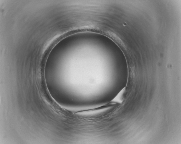 X0000072990676200608111807