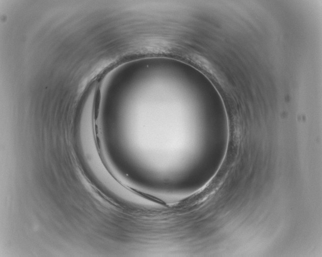 X0000072990677200608111807