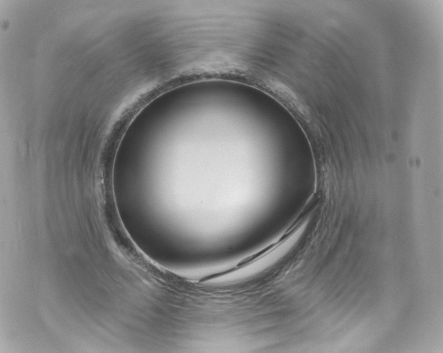 X0000072990680200608111807