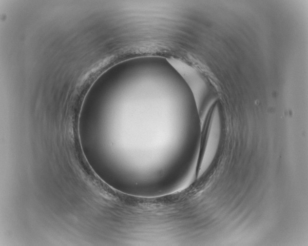 X0000072990681200608111807