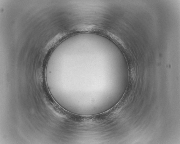 X0000072990682200608111807