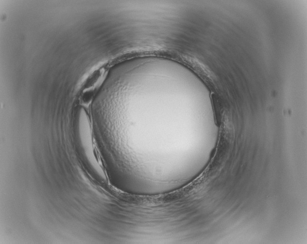 X0000072990684200608111807