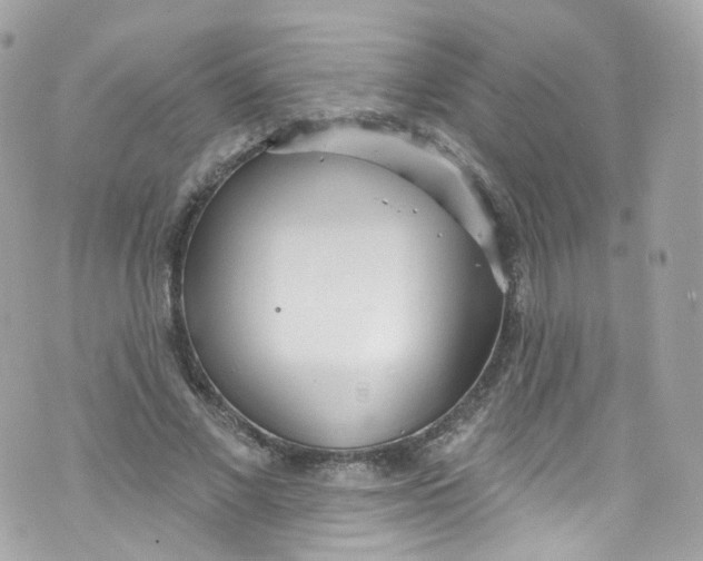 X0000072990685200608111807